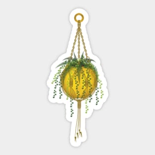 Macrame plant hanger Sticker